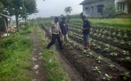 Polres Malang Perkuat Ketahanan Pangan Melalui Pemberdayaan Potensi Pangan Berkelanjutan
