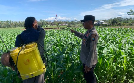 Layanan 110 Jadi Pintu Respons Cepat Polisi Tangani Laka di Pakis